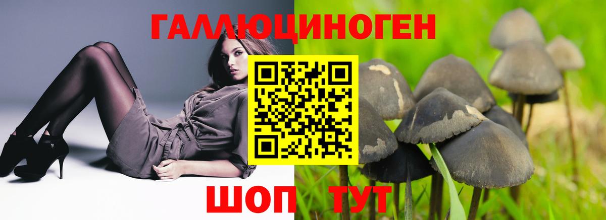 Галлюциногенные грибы мухоморы Гусев