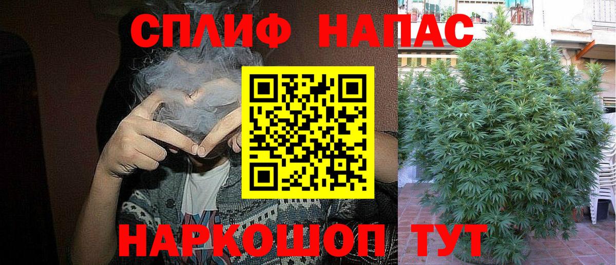 Конопля SATIVA & INDICA  Бошки Шишки план  Гусев  Вход с VPN 